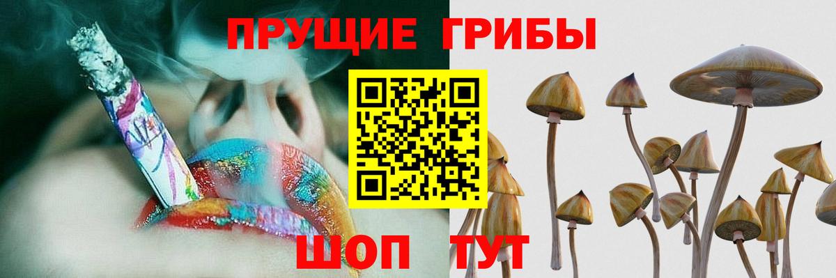 Псилоцибиновые грибы GOLDEN TEACHER Новотроицк